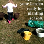 Tips to get your garden ready for planting season