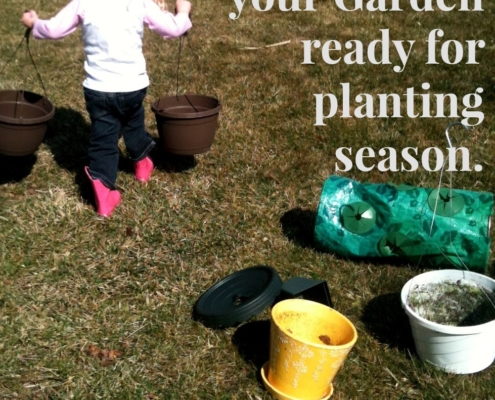 Tips to get your garden ready for planting season