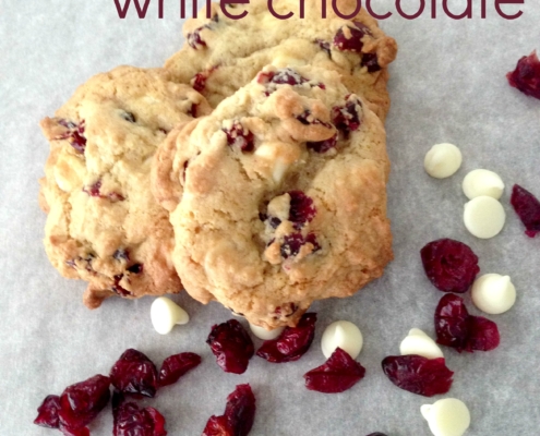 Cranberry White Chocolate Chip Cookie Recipe