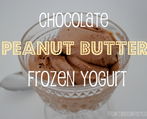 Chocolate Peanut Butter Frozen Yogurt