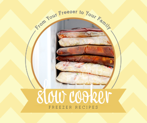 Slow Cooker freezer cooking book