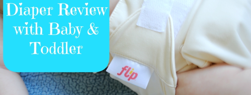 Flip Cloth Diaper Review