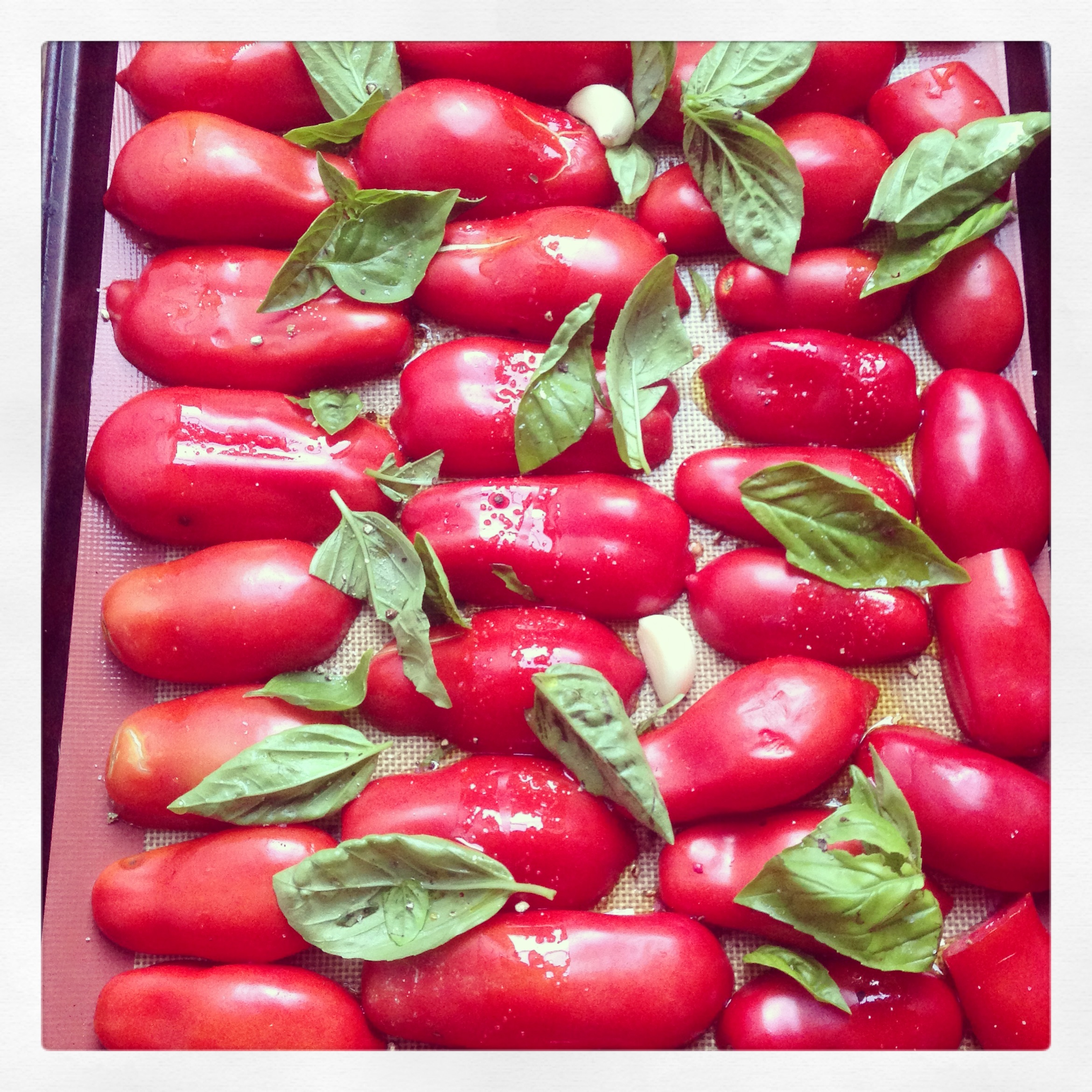 roasted-plum-tomato-sauce-emily-roach-health-coach