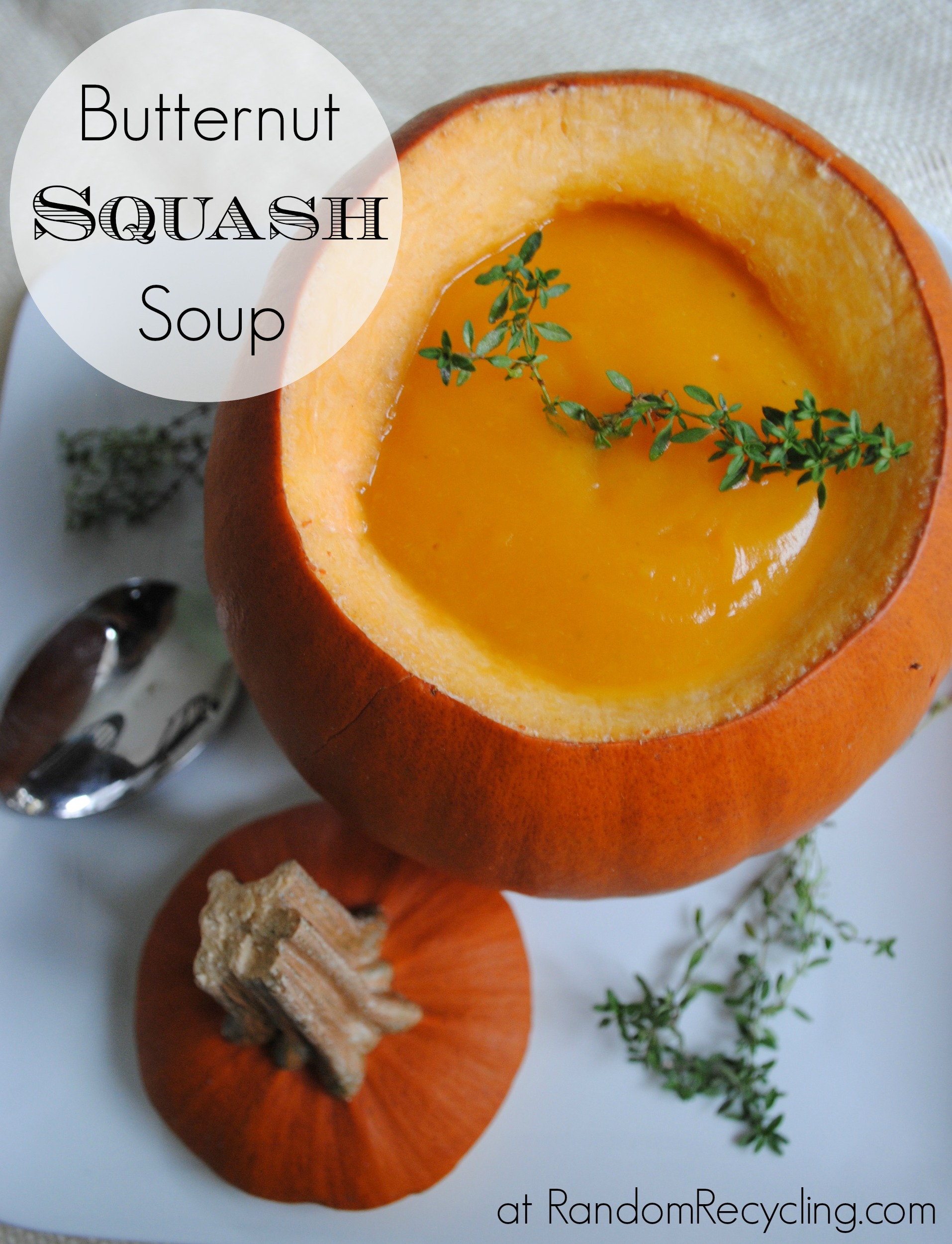 Butternut Squash Soup with WonderBag