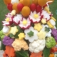 Crudite Creation for your next party