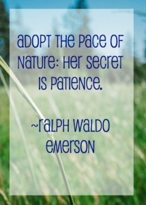 Nature quote from Ralph Waldo Emerson