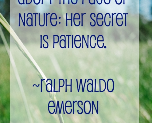 Nature quote from Ralph Waldo Emerson