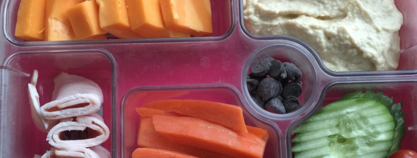 Lunchbox Ideas for Your Yumbox ⋆ 100 Days of Real Food