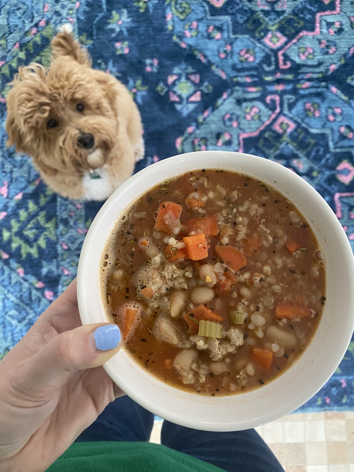 Hearty Turkey Minestrone Soup - Emily Roach Health Coach